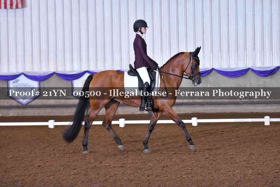 Proof Number 21YN_00500