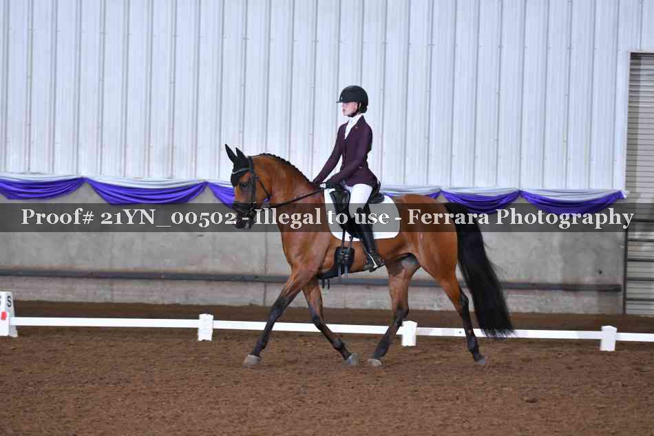 Proof Number 21YN_00502