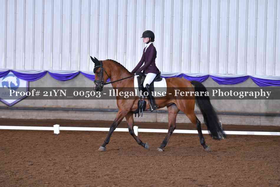 Proof Number 21YN_00503
