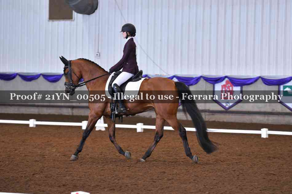 Proof Number 21YN_00505