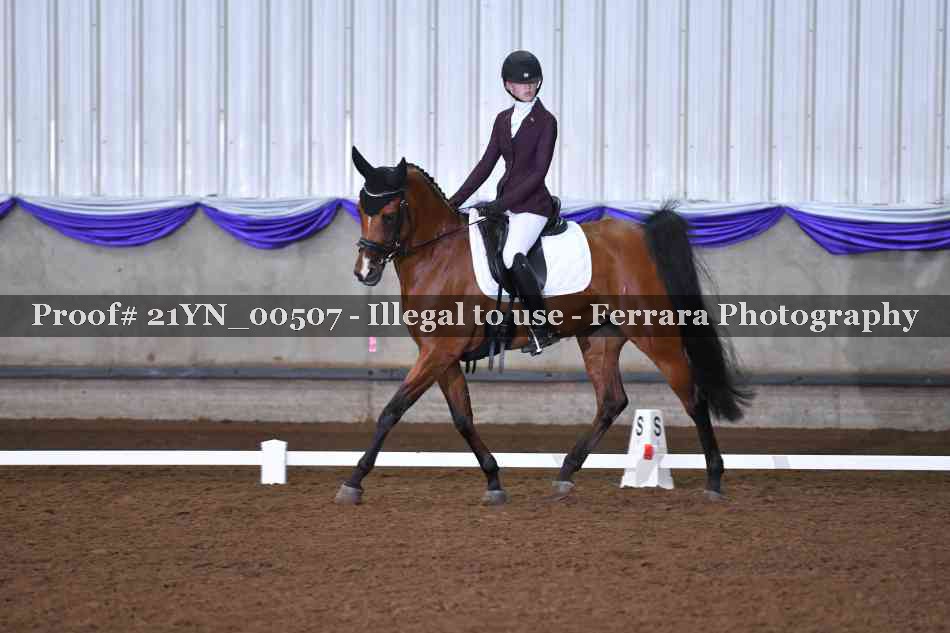 Proof Number 21YN_00507