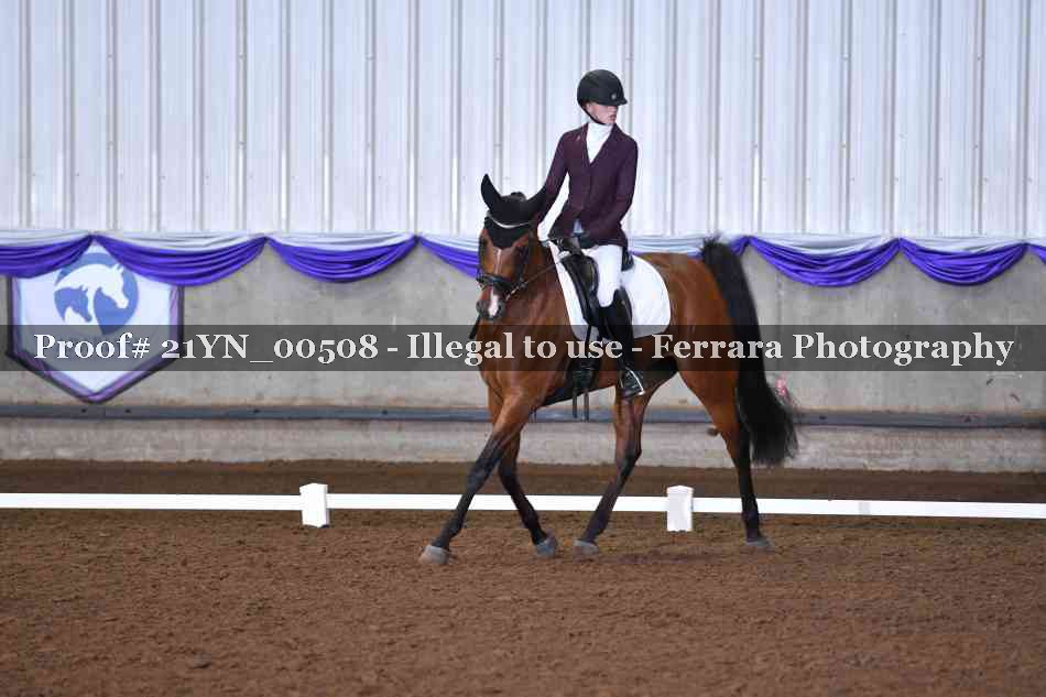 Proof Number 21YN_00508