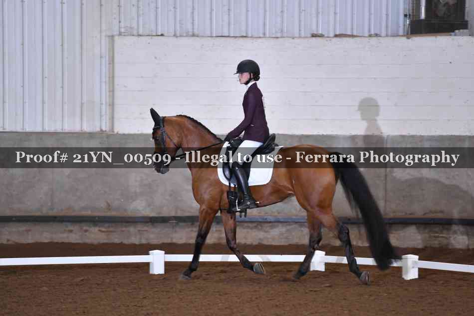 Proof Number 21YN_00509