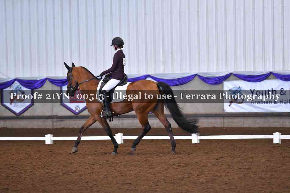 Proof Number 21YN_00513