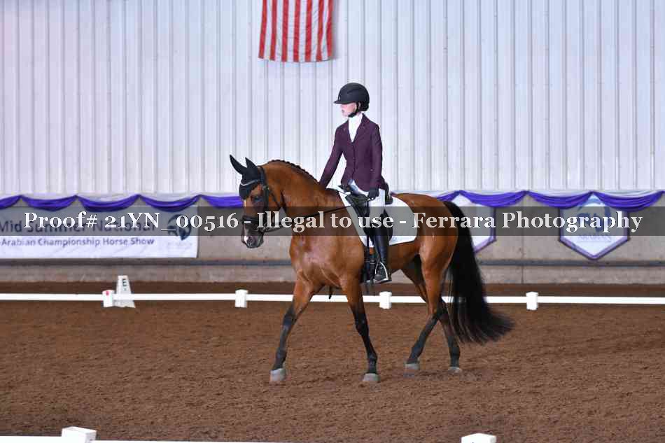 Proof Number 21YN_00516