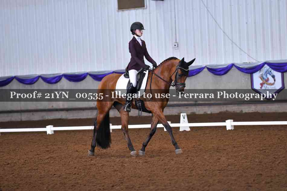 Proof Number 21YN_00535