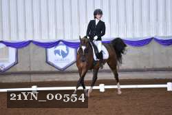21YN_00554 thumbnail