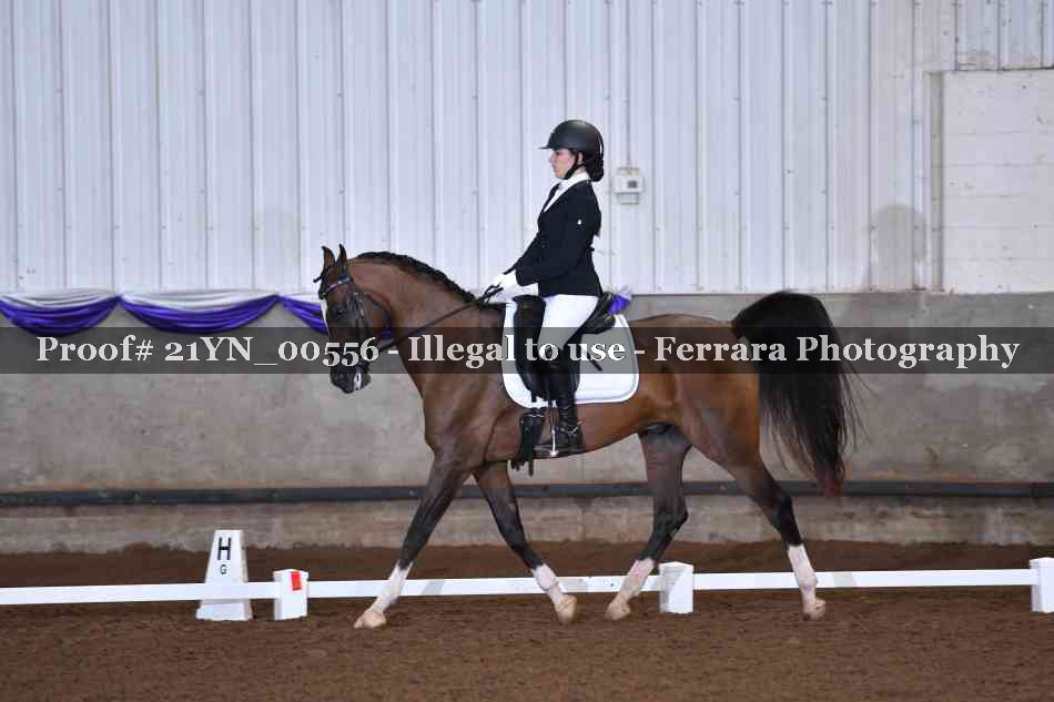 Proof Number 21YN_00556