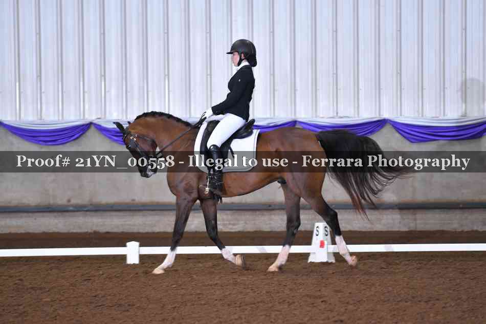 Proof Number 21YN_00558