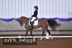 21YN_00558 thumbnail