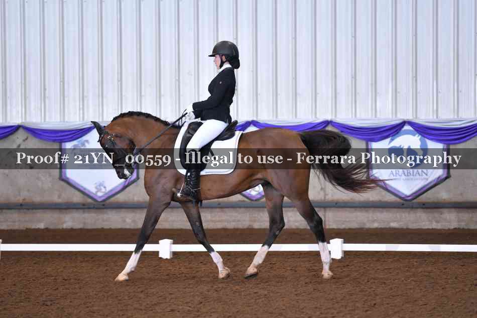 Proof Number 21YN_00559
