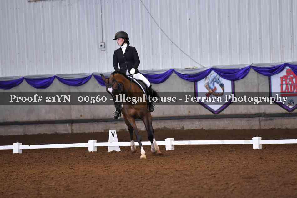 Proof Number 21YN_00560