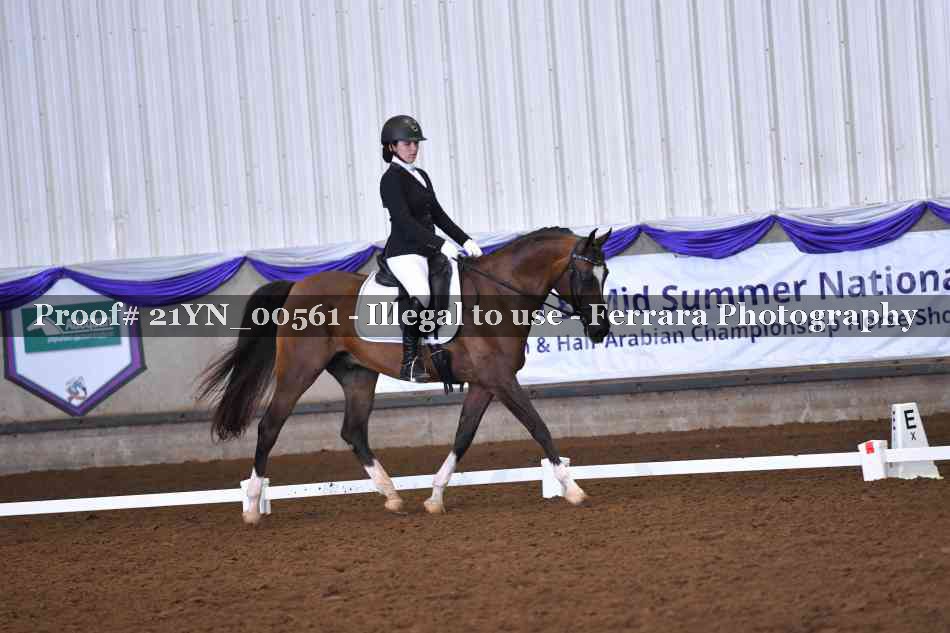 Proof Number 21YN_00561