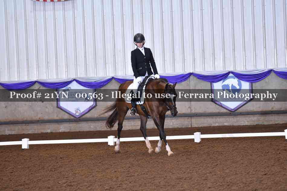 Proof Number 21YN_00563