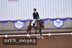 21YN_00563 thumbnail