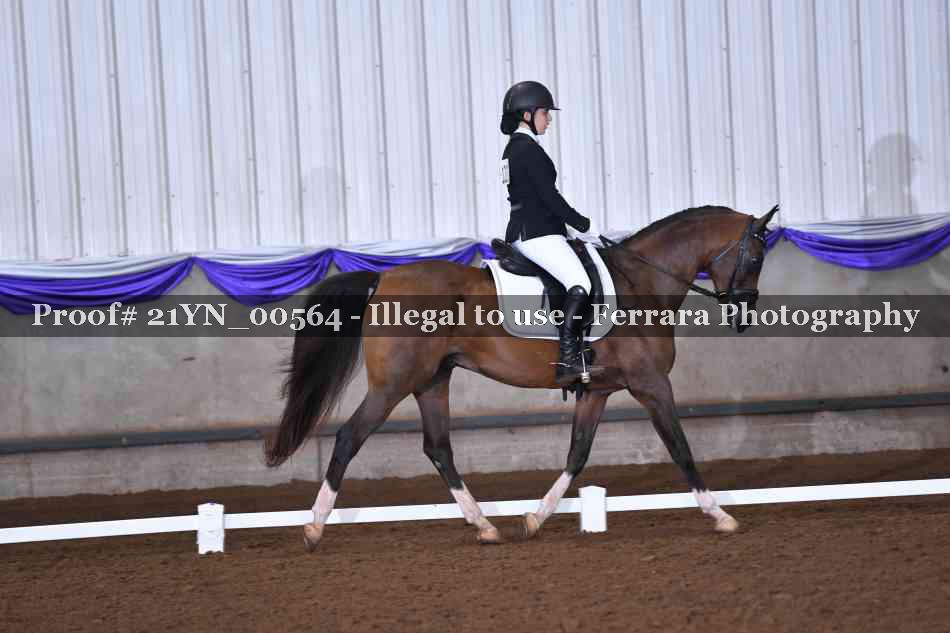 Proof Number 21YN_00564