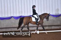 21YN_00564 thumbnail