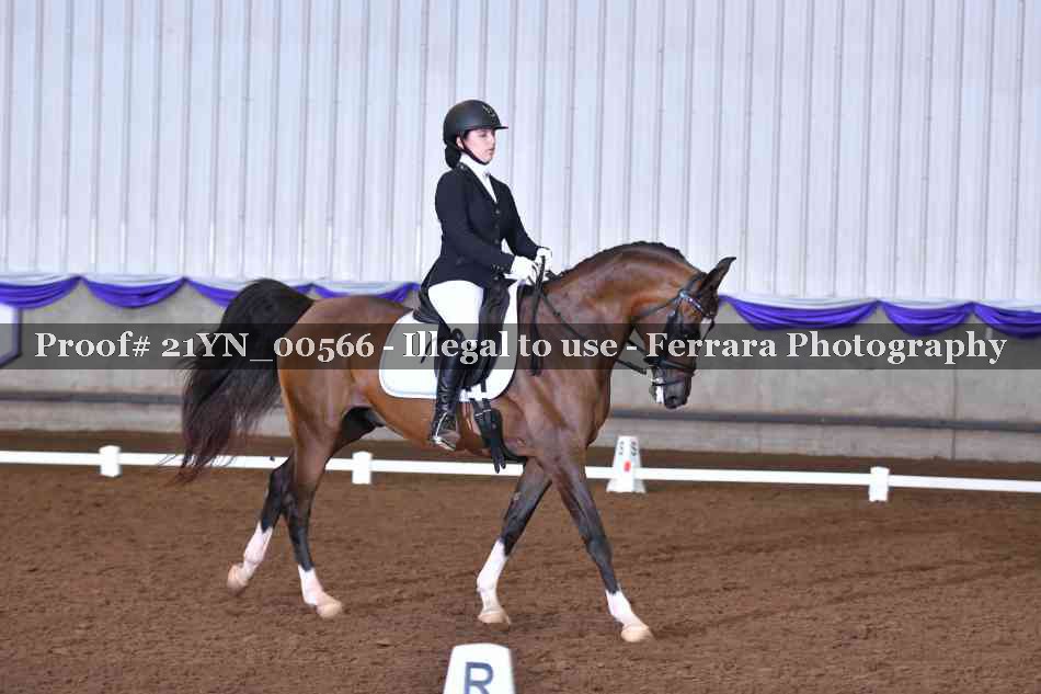 Proof Number 21YN_00566