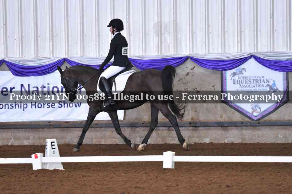 Proof Number 21YN_00588