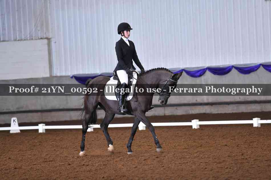 Proof Number 21YN_00592