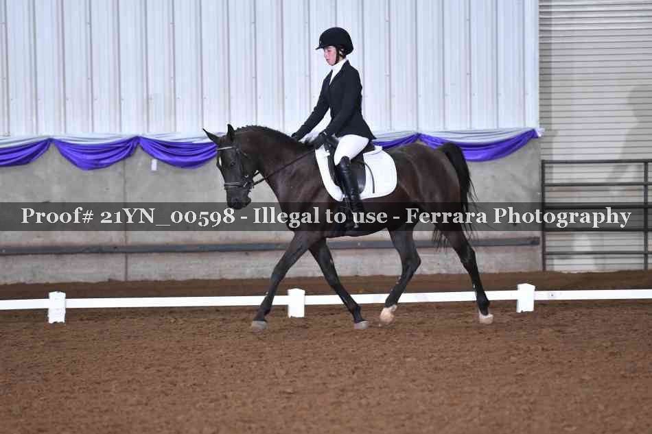 Proof Number 21YN_00598