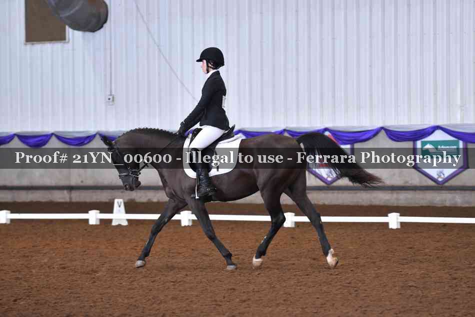 Proof Number 21YN_00600