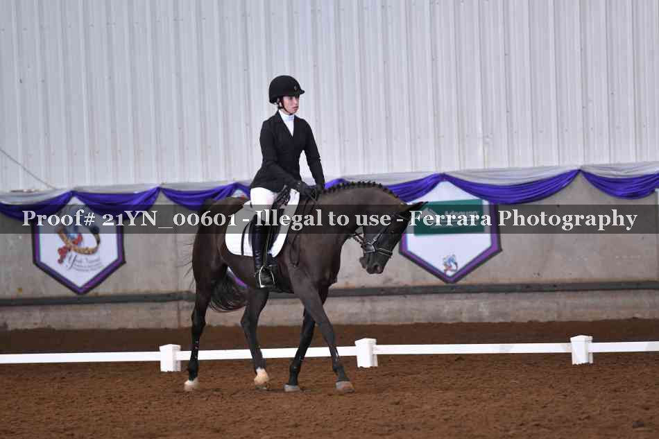 Proof Number 21YN_00601