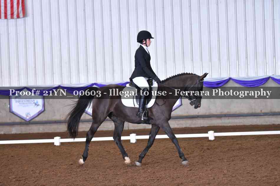 Proof Number 21YN_00603