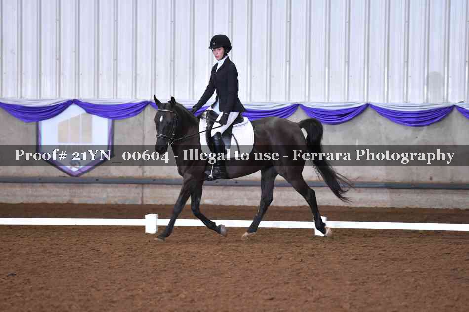 Proof Number 21YN_00604