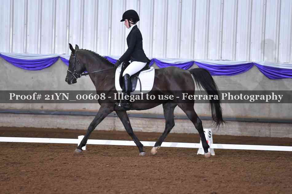 Proof Number 21YN_00608