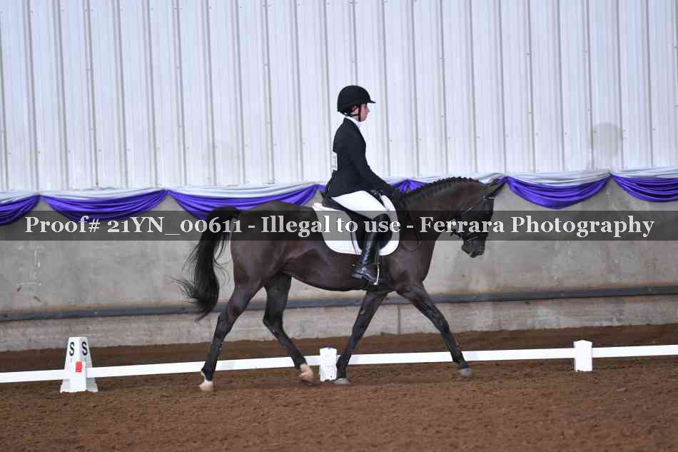 Proof Number 21YN_00611