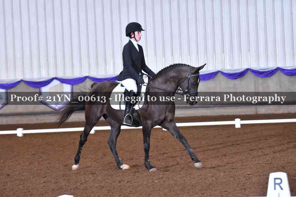 Proof Number 21YN_00613