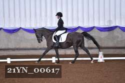 21YN_00617 thumbnail