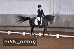 21YN_00619 thumbnail