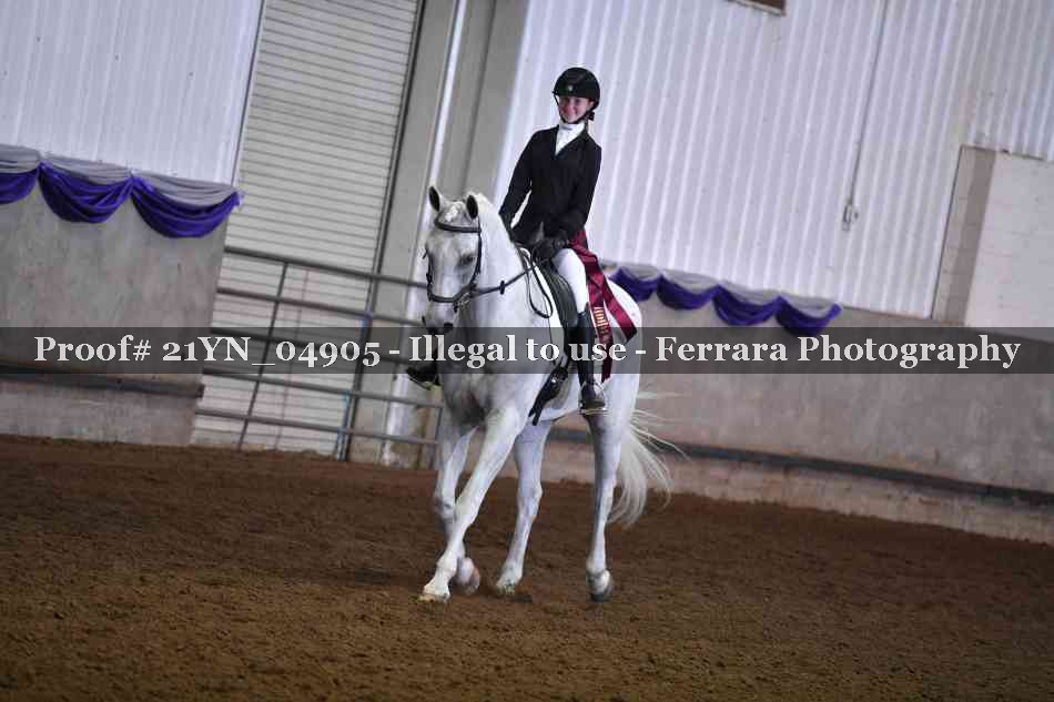 Proof Number 21YN_04905