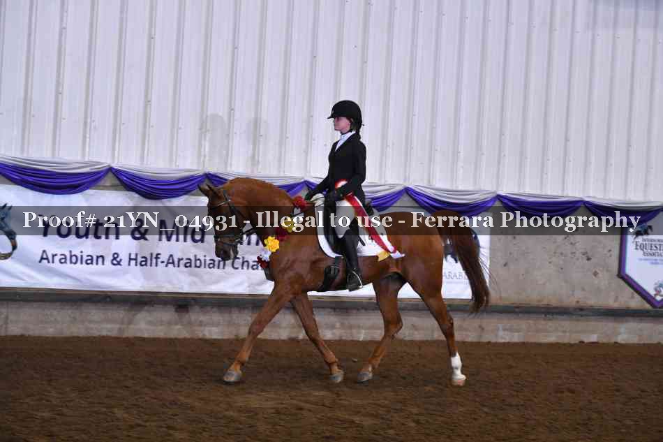 Proof Number 21YN_04931