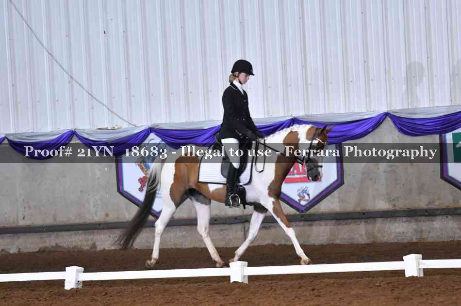 Proof Number 21YN_18683