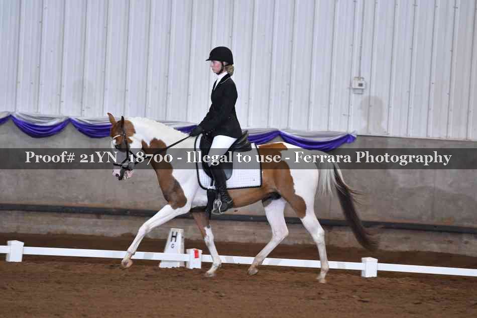Proof Number 21YN_18700