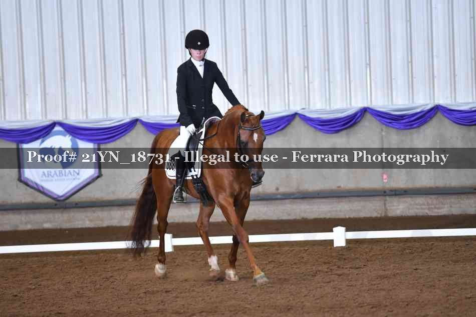 Proof Number 21YN_18731