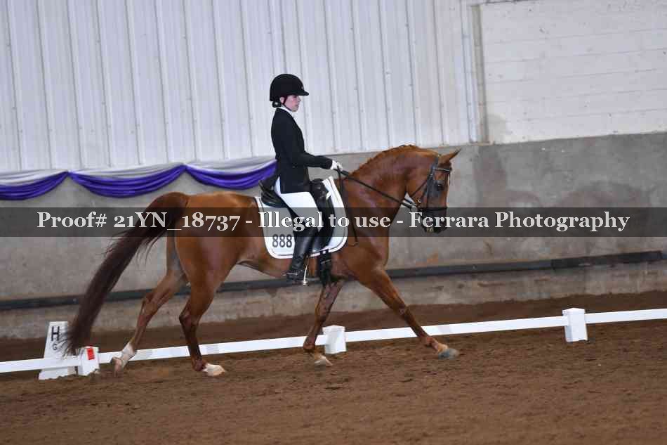 Proof Number 21YN_18737