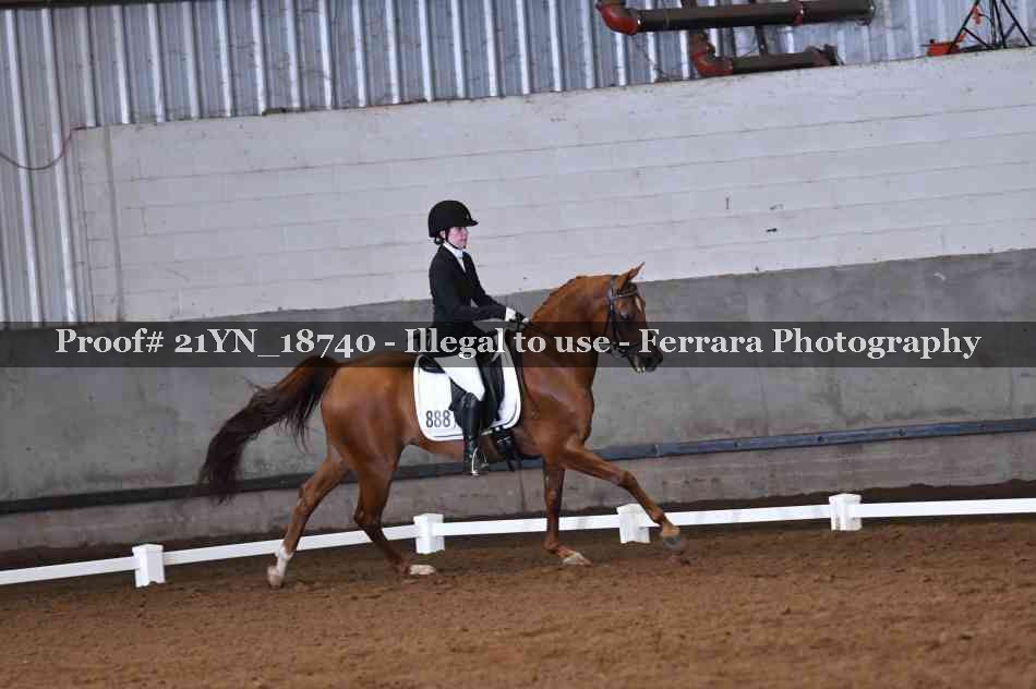 Proof Number 21YN_18740