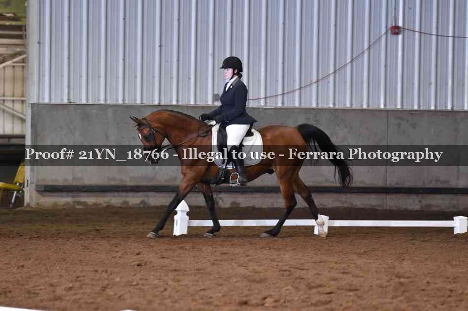 Proof Number 21YN_18766