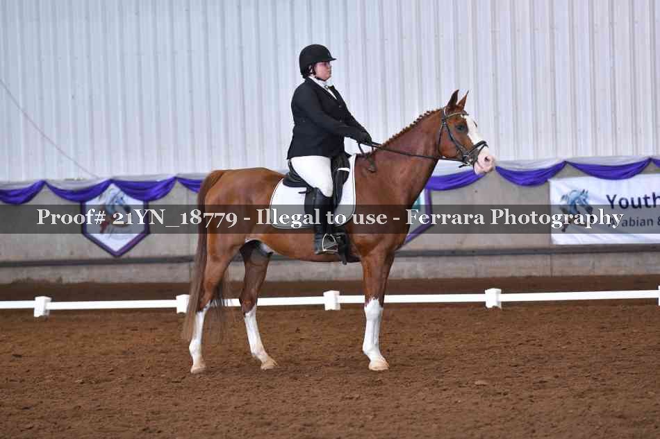 Proof Number 21YN_18779