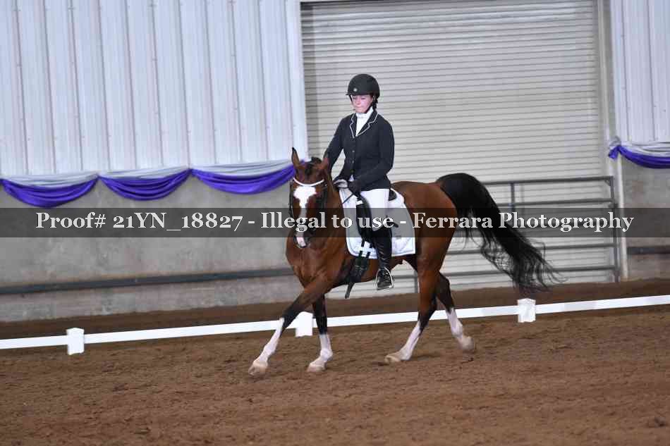 Proof Number 21YN_18827