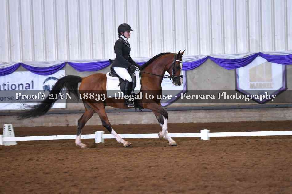 Proof Number 21YN_18833