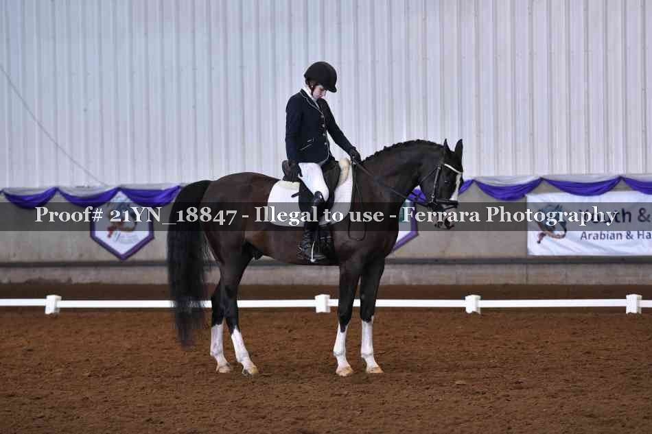 Proof Number 21YN_18847
