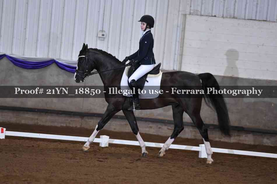 Proof Number 21YN_18850