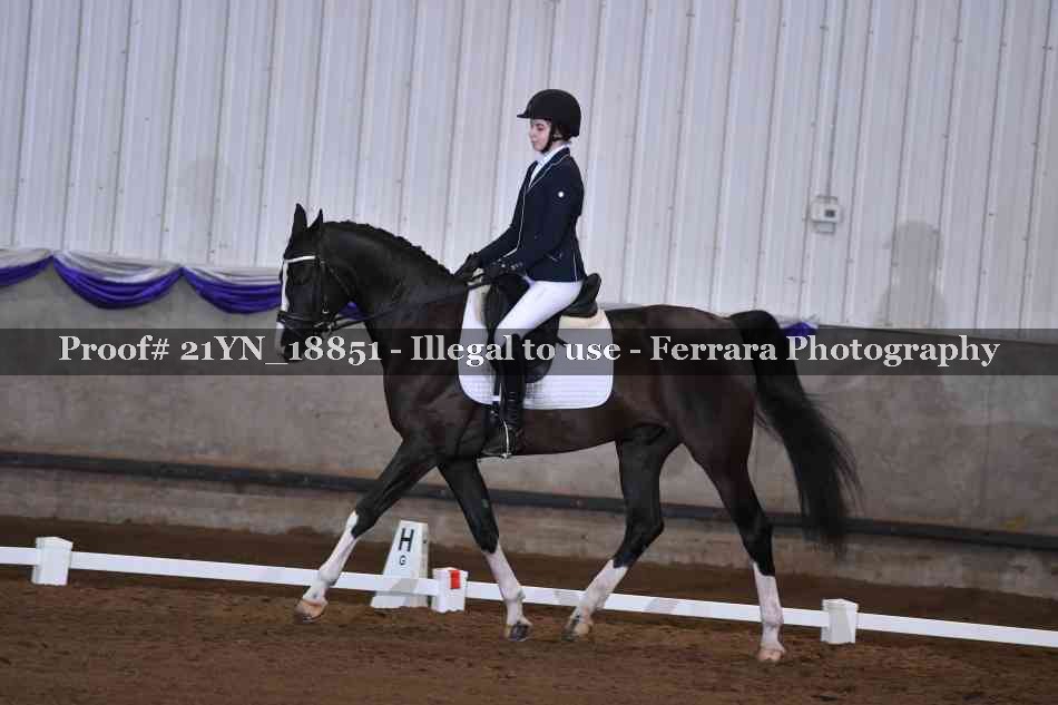 Proof Number 21YN_18851