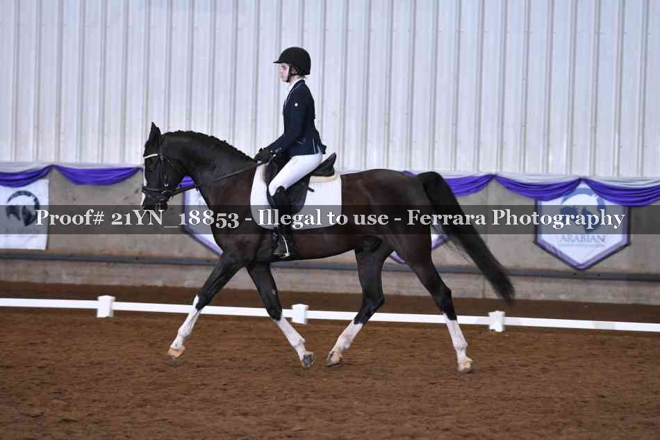 Proof Number 21YN_18853