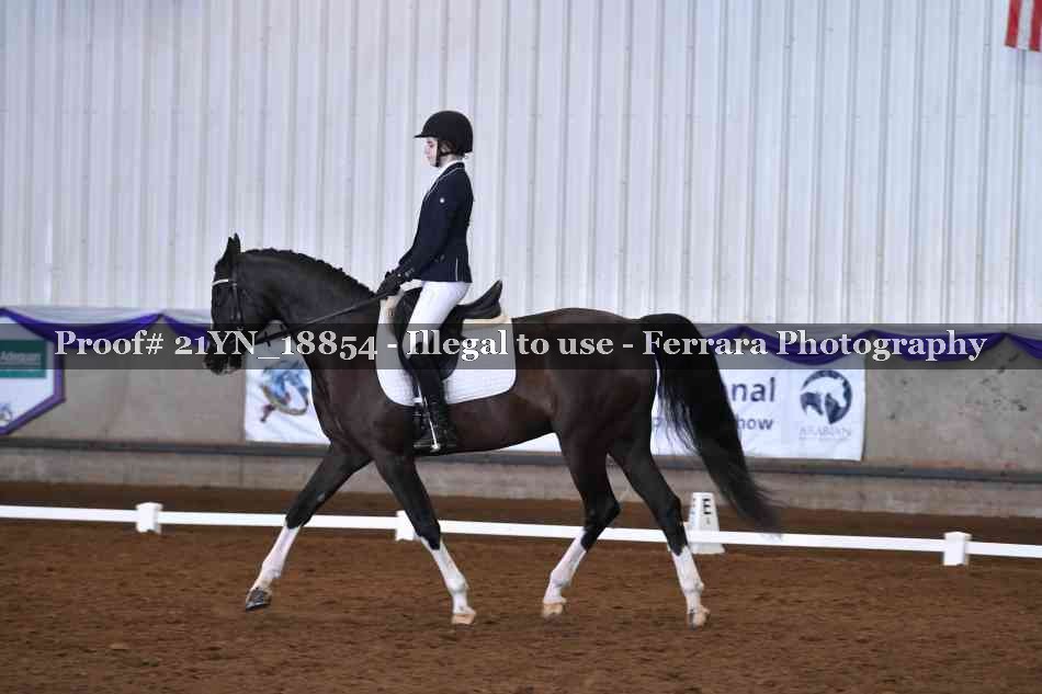 Proof Number 21YN_18854